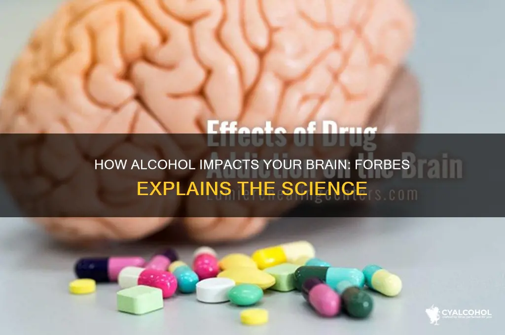 what alcohol really does to your brain forbes