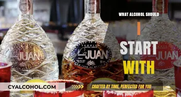 Choosing Your First Drink: A Beginner's Guide to Alcohol Exploration