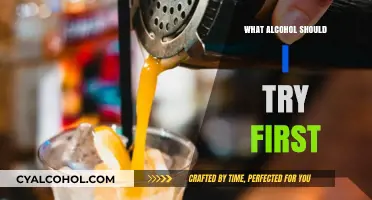 Exploring Alcohol: A Beginner's Guide to Your First Drink Choice
