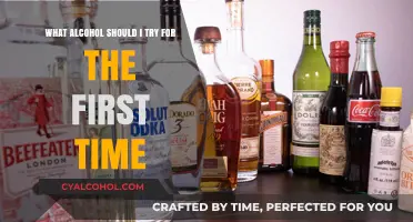 Exploring Alcohol: First-Time Drinker's Guide