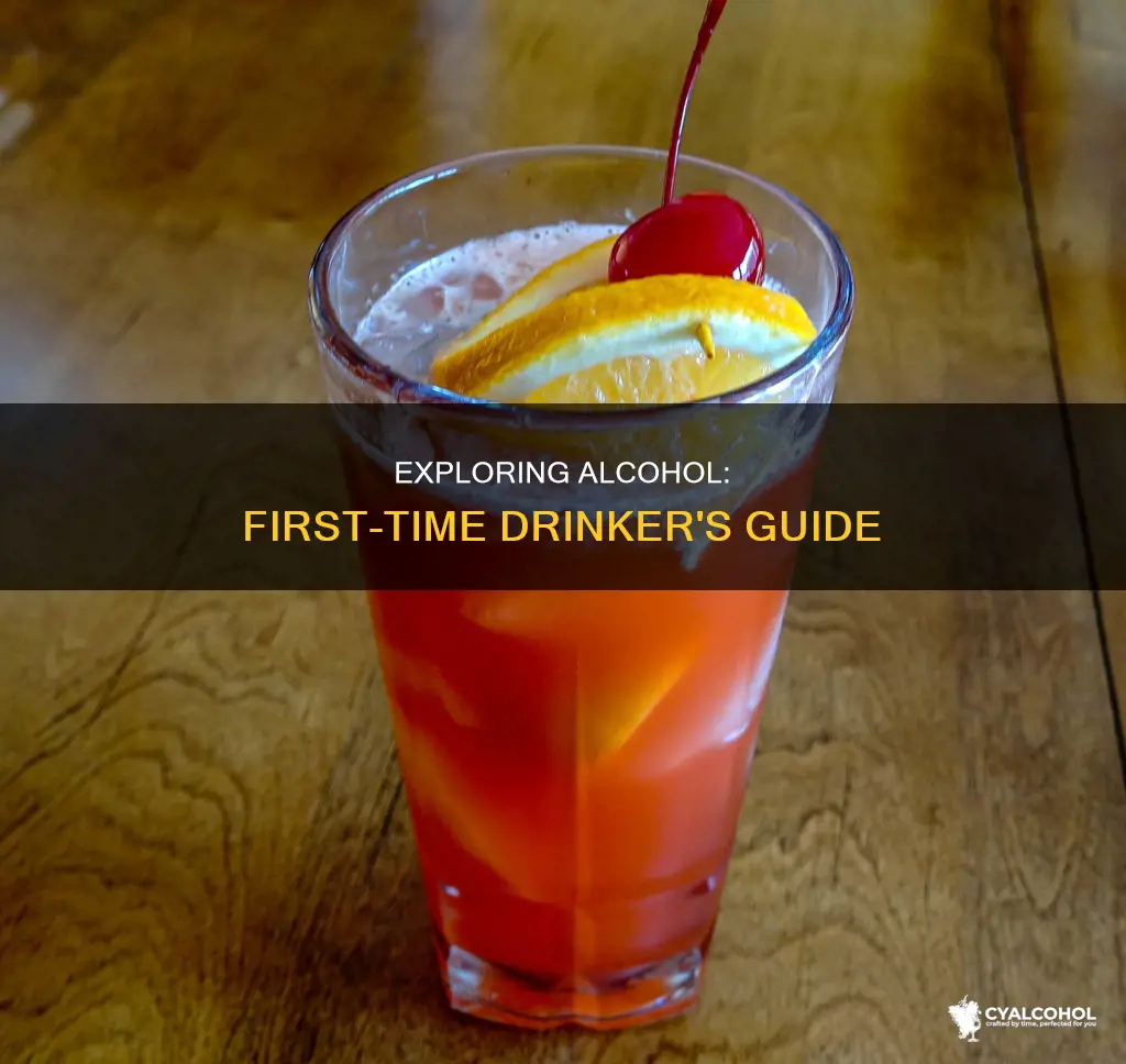 what alcohol should i try for the first time