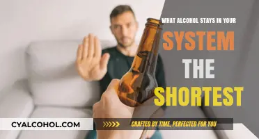 Quickest Alcohol Exit: Which Drinks Leave Your System Fastest?