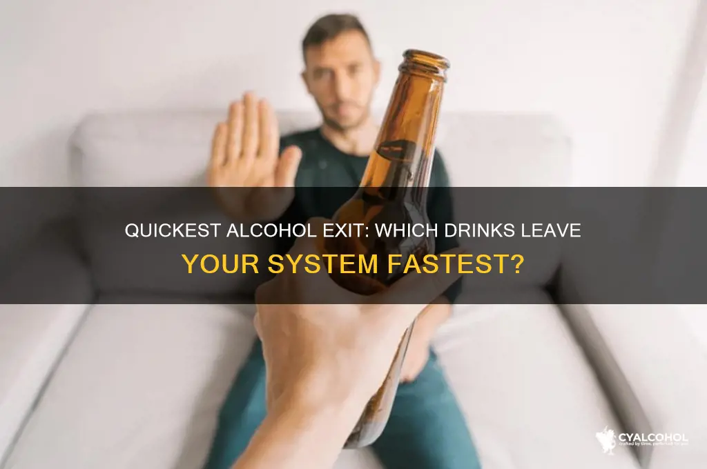 what alcohol stays in your system the shortest