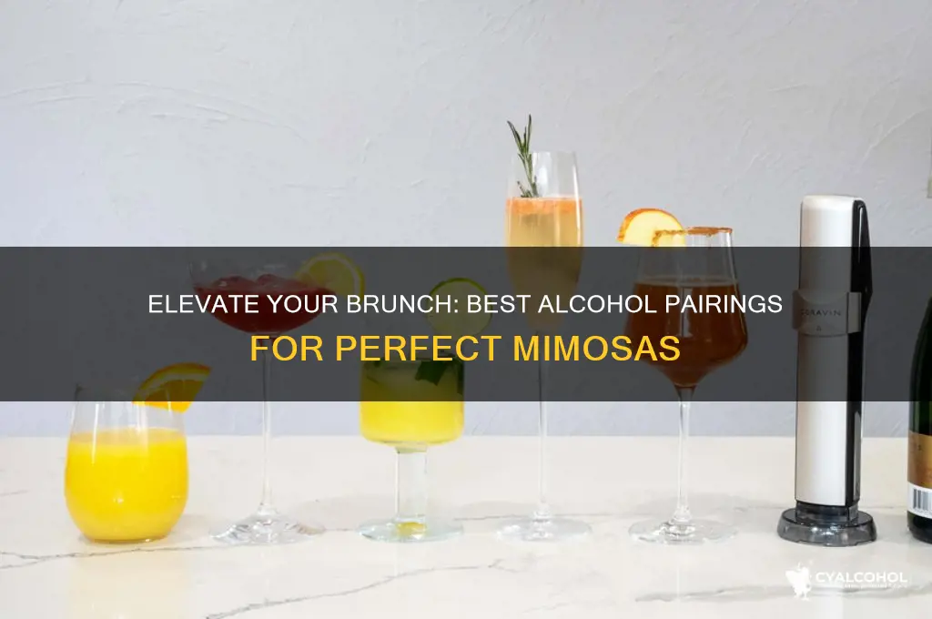 what alcohol to add to mimosas