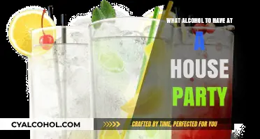 Perfect Party Drinks: Top Alcohol Picks for Your House Party