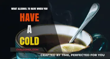 Best Alcoholic Drinks to Consume When You're Sick
