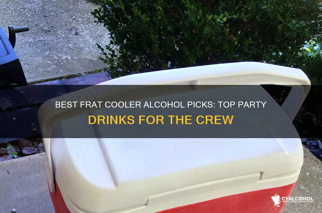 what alcohol to put in a frat cooler