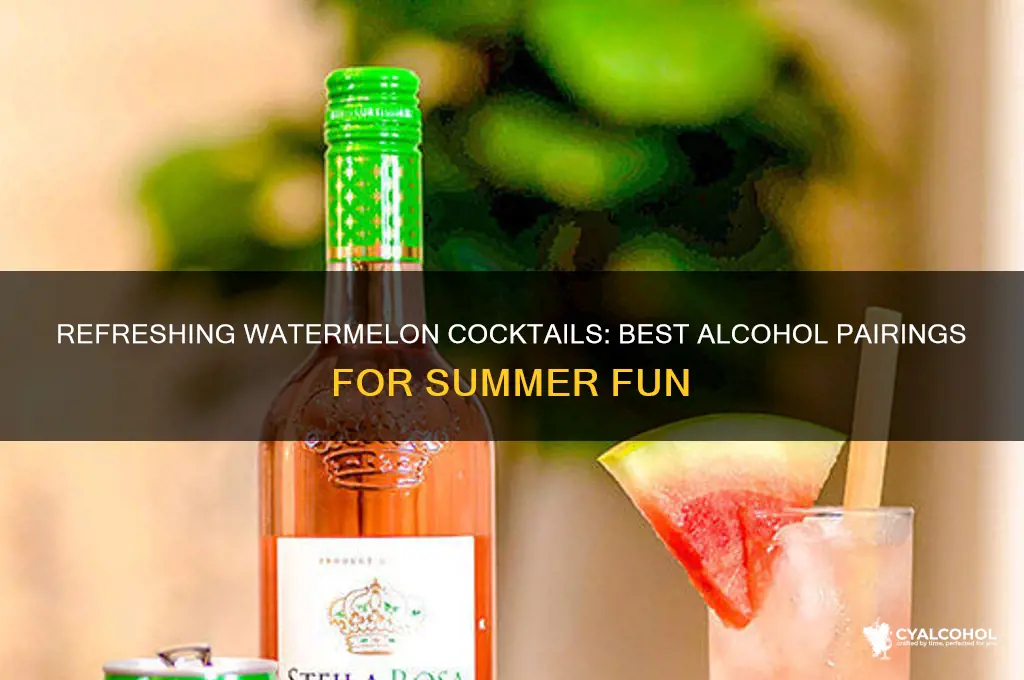 what alcohol to put in watermelon