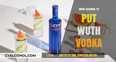 Perfect Vodka Pairings: Best Alcohol Mixers to Elevate Your Drink