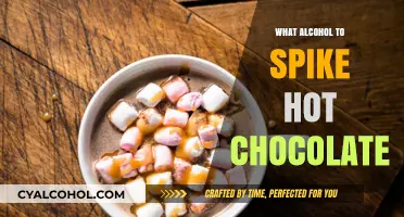 Perfect Pairings: Best Alcohol to Spike Your Hot Chocolate Delight