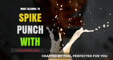 Perfect Punch Pairings: Best Alcohols to Spike Your Party Bowl
