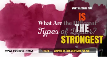 Exploring the World's Strongest Alcohol Types: A Potent Guide