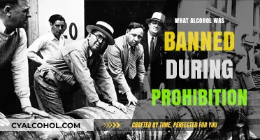 Prohibition's Impact: The Banned Alcoholic Beverages of the 1920s Era