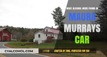 Maura Murray's Car: Alcohol Evidence and the Missing Person Case