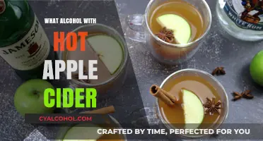 Perfect Pairings: Best Alcohol to Mix with Hot Apple Cider
