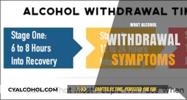 Understanding Alcohol Withdrawal Symptoms: Signs, Risks, and Recovery Tips