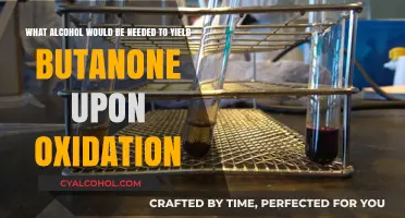 Oxidation Reaction: Alcohol to Butanone