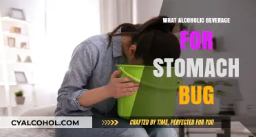 Stomach Bug Remedies: Safe Alcoholic Beverages to Ease Symptoms