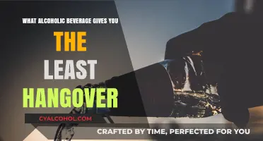 Minimize Morning Misery: The Alcoholic Drink with Least Hangover