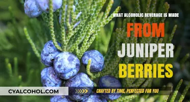 Discover the Juniper Berry Spirit: Gin's Botanical Origins Explained