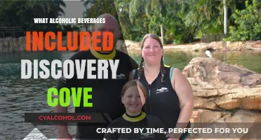 Discover the Alcoholic Beverages Included in Your Discovery Cove Experience