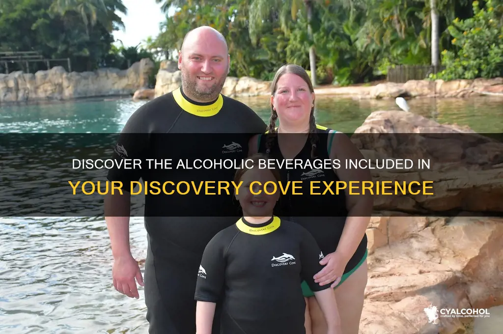 what alcoholic beverages included discovery cove