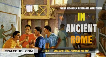 Ancient Rome's Favorite Drinks: Exploring Historic Alcoholic Beverages