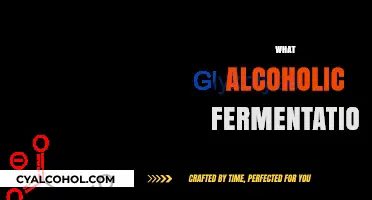 Understanding Alcoholic Fermentation: Process, Uses, and Key Factors Explained