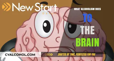 Unraveling Alcoholism's Devastating Impact on Brain Function and Structure