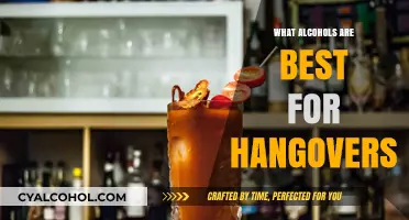 Best Hangover Remedies: Top Alcohols to Ease Morning-After Misery