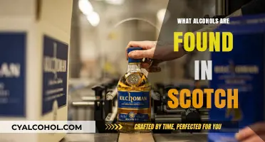 Exploring the Key Alcohols Found in Scotch Whisky