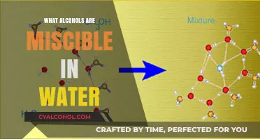 Which Alcohols Mix with Water: A Guide to Miscibility