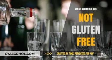 Gluten-Free Alcohol Guide: Which Drinks to Avoid for Celiac Safety