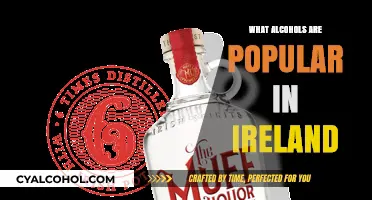 Exploring Ireland's Favorite Drinks: Top Alcohols Loved by the Irish