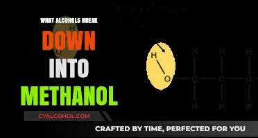 Which Alcohols Produce Methanol During Breakdown: A Comprehensive Guide
