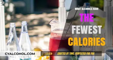 Low-Calorie Alcohol Options: Discover the Lightest Drinks for Your Diet