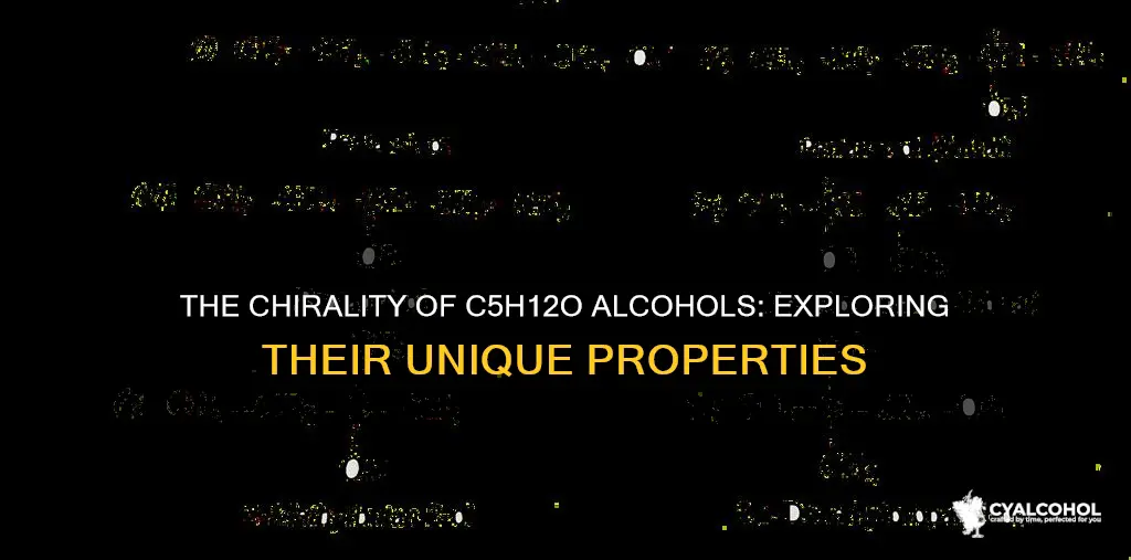 what alcohols with the molecular formula c5h12o are chiral