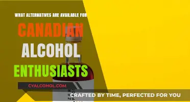 Exploring Canadian Alcohol Alternatives: Unique Options for Enthusiasts