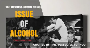 Prohibition's Legacy: The Amendment That Banned Alcohol in America