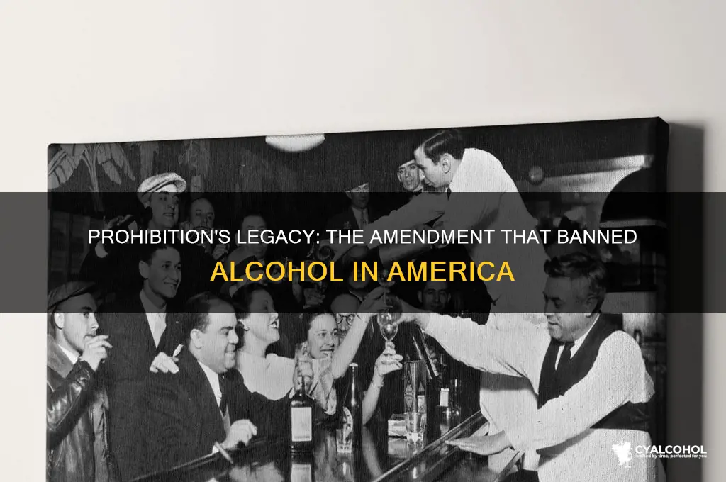 what amendment addressed the moral issue of alcohol