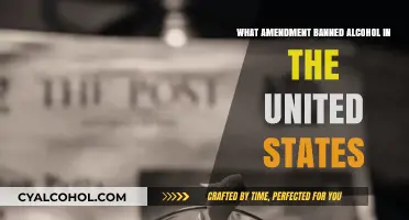 Prohibition Era: The Amendment That Banned Alcohol in America