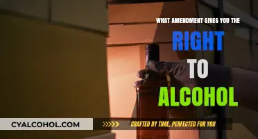 The 21st Amendment: Your Right to Alcohol Explained