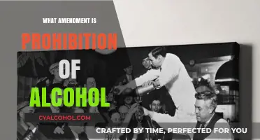 Prohibition of Alcohol: Understanding the 18th Amendment's Impact and Repeal