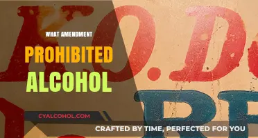 Prohibition Era Explained: The Amendment That Banned Alcohol in America