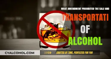 Prohibition: How America Banned Booze