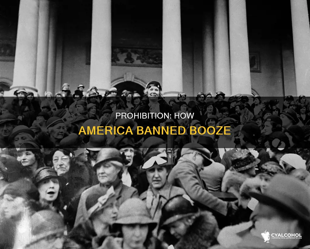 what amendment prohibited the sale and transportation of alcohol