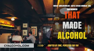 The Amendment That Overturned Alcohol Ban
