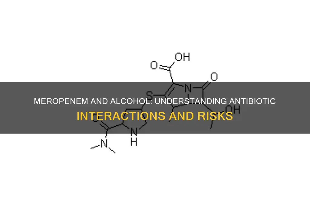 what antibiotics interact with alcohol meropenem
