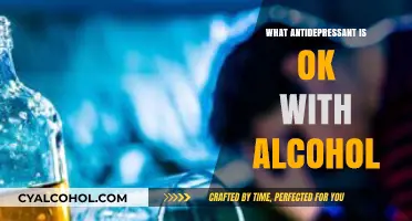 Antidepressants and Alcohol: Safe Combinations and Risks Explained