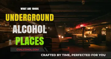 Secret Sips: Exploring the 1960s Hidden Speakeasy Culture